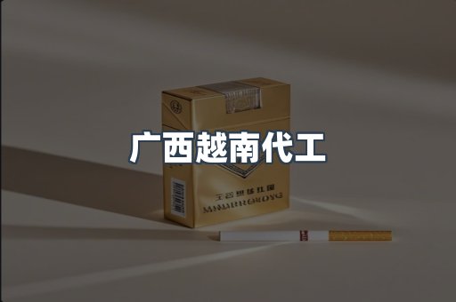 广西越南代工